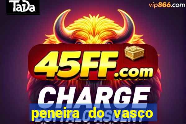 peneira do vasco da gama